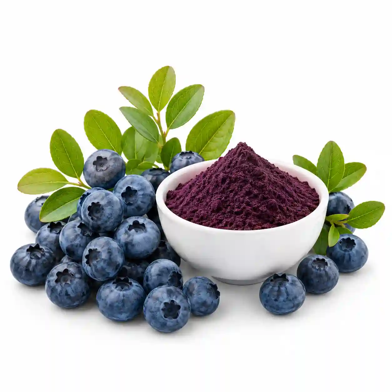 Bilberry Extract